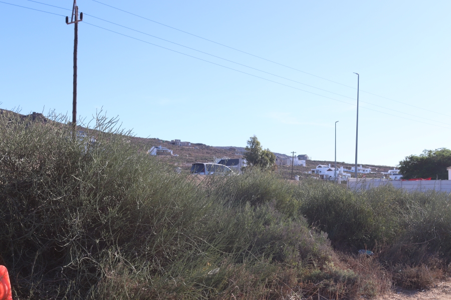 0 Bedroom Property for Sale in Steenbergs Cove Western Cape